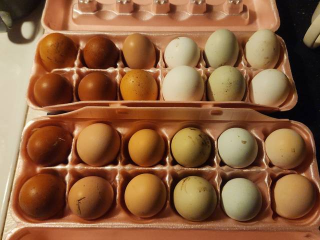 Cartons of mixed-color eggs