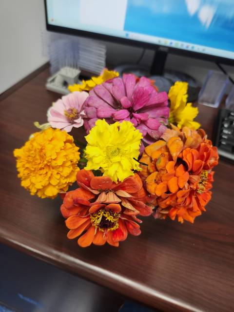 Home-grown flowers