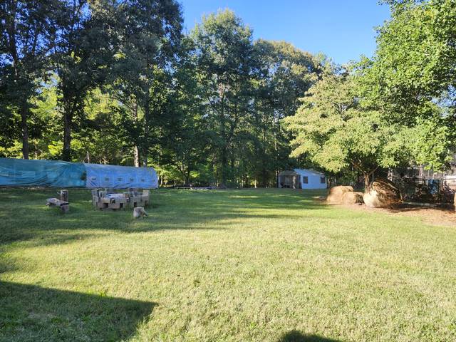 The pasture on a clear fall day